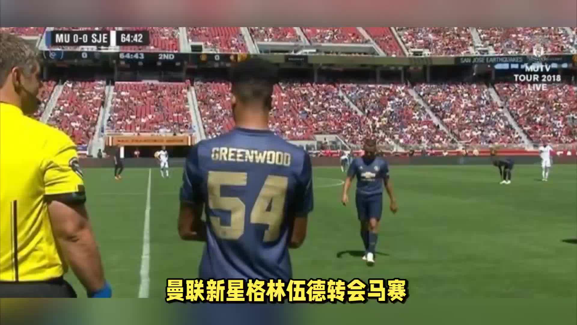 观赛氛